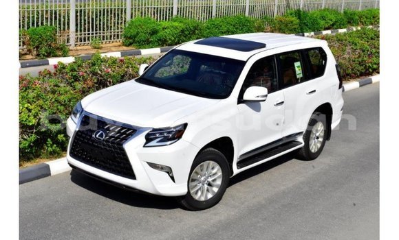 Acheter Import Voiture Lexus GX Blanc à Import - Dubai, État d'Al Jazirah Acheter Import Voiture Lexus GX Blanc à Import - Dubai, État d'Al Jazirah