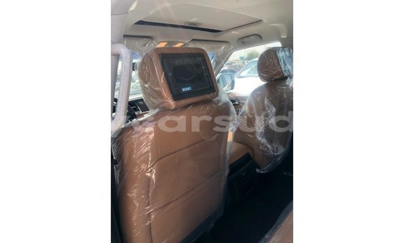 Buy Import Nissan Patrol White Car in Import - Dubai in Al Jazirah State Buy Import Nissan Patrol White Car in Import - Dubai in Al Jazirah State