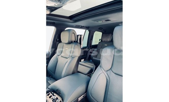 Buy Import Lexus LX Black Car in Import - Dubai in Al Jazirah State Buy Import Lexus LX Black Car in Import - Dubai in Al Jazirah State