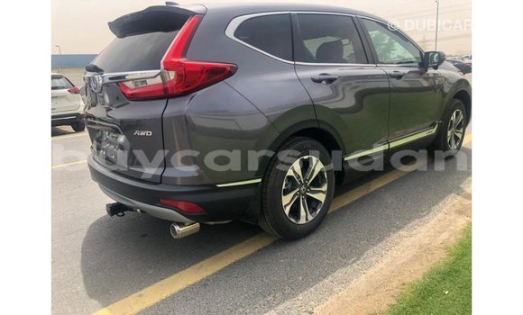 Buy Import Honda C Other Bike in Import - Dubai in Al Jazirah State Buy Import Honda C Other Bike in Import - Dubai in Al Jazirah State