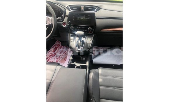 Buy Import Honda C Other Bike in Import - Dubai in Al Jazirah State Buy Import Honda C Other Bike in Import - Dubai in Al Jazirah State