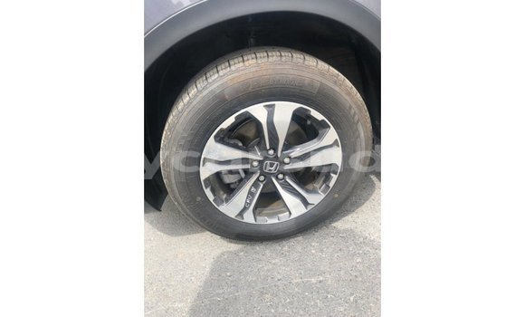 Buy Import Honda C Other Bike in Import - Dubai in Al Jazirah State Buy Import Honda C Other Bike in Import - Dubai in Al Jazirah State