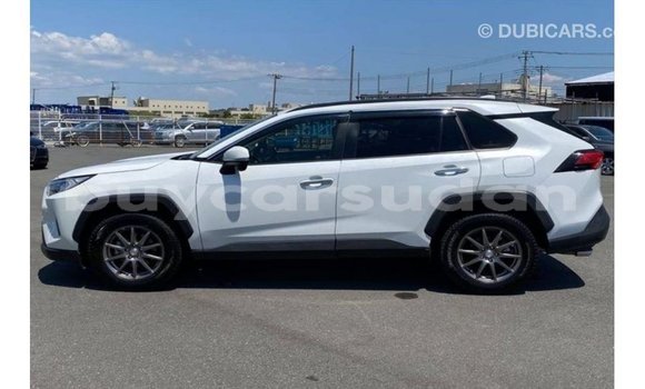 Buy Import Toyota HiAce White Truck in Import - Dubai in Al Jazirah State Buy Import Toyota HiAce White Truck in Import - Dubai in Al Jazirah State