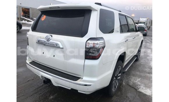 Buy Import Toyota HiAce White Truck in Import - Dubai in Al Jazirah State Buy Import Toyota HiAce White Truck in Import - Dubai in Al Jazirah State