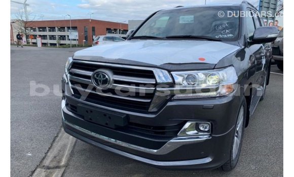 Buy Import Toyota Land Cruiser Other Car in Import - Dubai in Al Jazirah State Buy Import Toyota Land Cruiser Other Car in Import - Dubai in Al Jazirah State