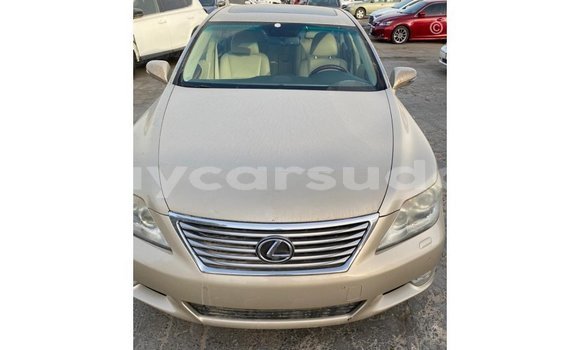 Buy Import Lexus LS Other Car in Import - Dubai in Al Jazirah State Buy Import Lexus LS Other Car in Import - Dubai in Al Jazirah State