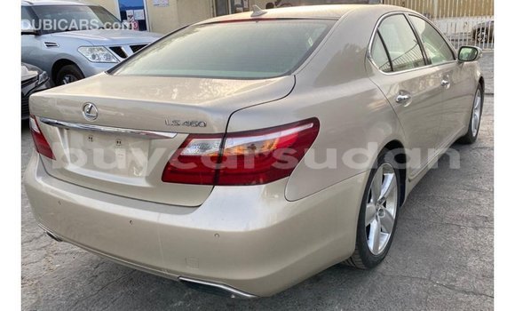 Buy Import Lexus LS Other Car in Import - Dubai in Al Jazirah State Buy Import Lexus LS Other Car in Import - Dubai in Al Jazirah State