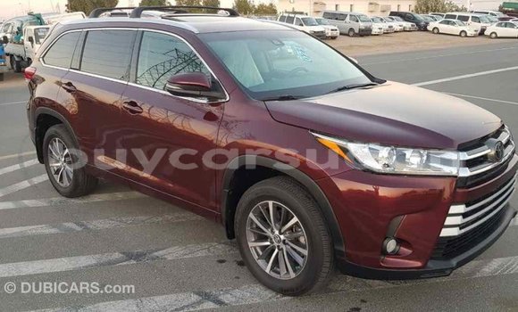 Buy Import Toyota Highlander Other Car in Import - Dubai in Al Jazirah State Buy Import Toyota Highlander Other Car in Import - Dubai in Al Jazirah State