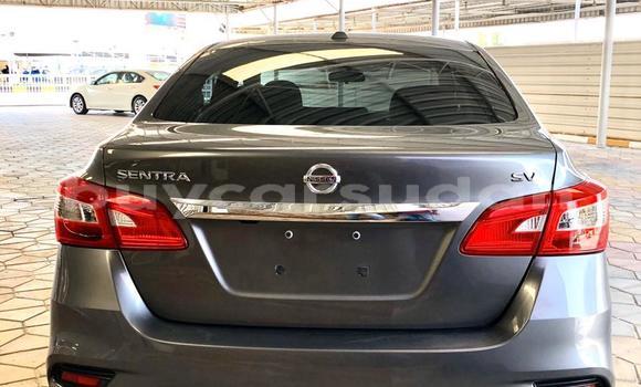 Buy Import Nissan Sentra Other Car in Abu Hijar in Sinnar Buy Import Nissan Sentra Other Car in Abu Hijar in Sinnar