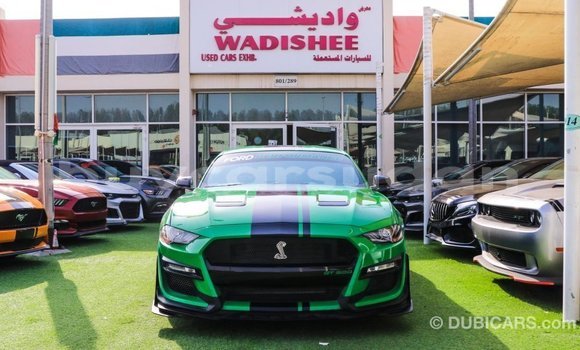 Buy Import Ford Mustang Green Car in Import - Dubai in Al Jazirah State Buy Import Ford Mustang Green Car in Import - Dubai in Al Jazirah State
