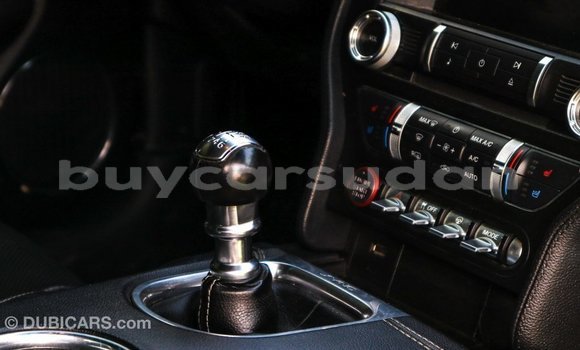 Buy Import Ford Mustang Green Car in Import - Dubai in Al Jazirah State Buy Import Ford Mustang Green Car in Import - Dubai in Al Jazirah State