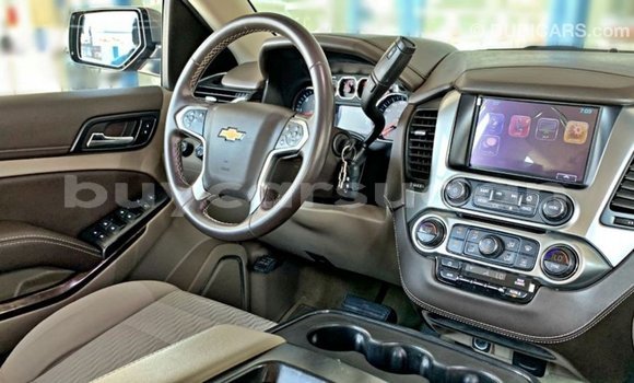 Buy Import Chevrolet Tahoe Other Car in Import - Dubai in Al Jazirah State Buy Import Chevrolet Tahoe Other Car in Import - Dubai in Al Jazirah State