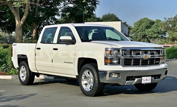 Buy Import Chevrolet Silverado White Car in Import - Dubai in Al Jazirah State