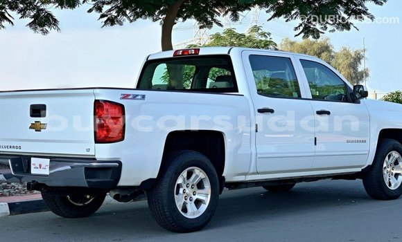 Buy Import Chevrolet Silverado White Car in Import - Dubai in Al Jazirah State Buy Import Chevrolet Silverado White Car in Import - Dubai in Al Jazirah State