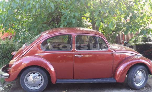 Buy Import Volkswagen Beetle Red Car in Khartoum in Khartoum Buy Import Volkswagen Beetle Red Car in Khartoum in Khartoum