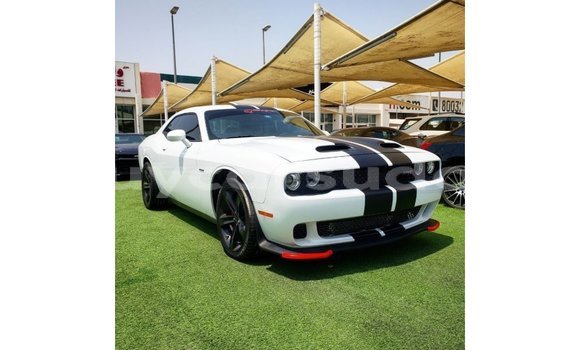 Acheter Import Voiture Dodge Challenger Blanc à Import - Dubai, État d'Al Jazirah
