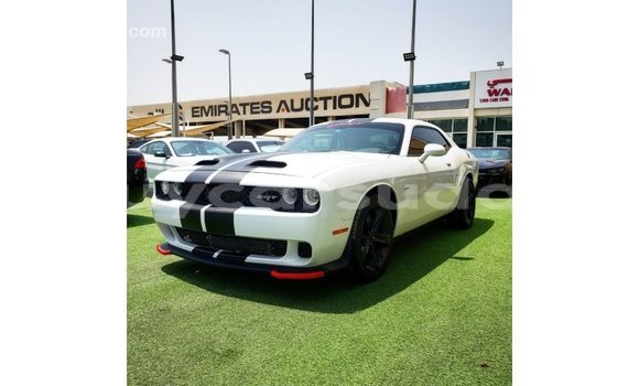 Buy Import Dodge Challenger White Car in Import - Dubai in Al Jazirah State Buy Import Dodge Challenger White Car in Import - Dubai in Al Jazirah State