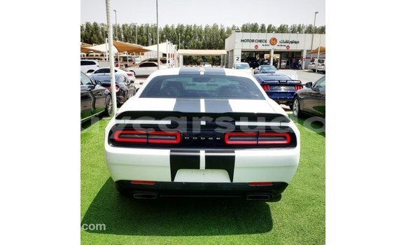 Buy Import Dodge Challenger White Car in Import - Dubai in Al Jazirah State Buy Import Dodge Challenger White Car in Import - Dubai in Al Jazirah State