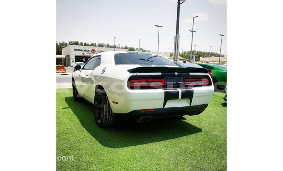 Buy Import Dodge Challenger White Car in Import - Dubai in Al Jazirah State Buy Import Dodge Challenger White Car in Import - Dubai in Al Jazirah State
