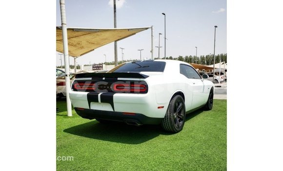 Buy Import Dodge Challenger White Car in Import - Dubai in Al Jazirah State Buy Import Dodge Challenger White Car in Import - Dubai in Al Jazirah State