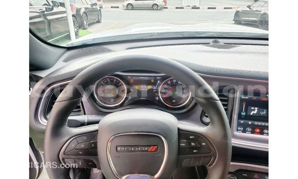 Buy Import Dodge Challenger White Car in Import - Dubai in Al Jazirah State Buy Import Dodge Challenger White Car in Import - Dubai in Al Jazirah State