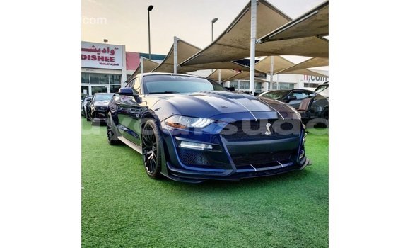 Buy Import Ford Mustang Blue Car in Import - Dubai in Al Jazirah State Buy Import Ford Mustang Blue Car in Import - Dubai in Al Jazirah State
