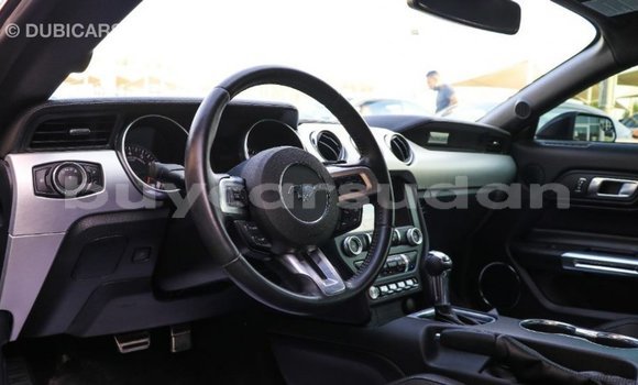 Buy Import Ford Mustang Black Car in Import - Dubai in Al Jazirah State Buy Import Ford Mustang Black Car in Import - Dubai in Al Jazirah State