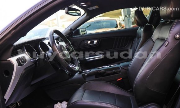 Buy Import Ford Mustang Black Car in Import - Dubai in Al Jazirah State Buy Import Ford Mustang Black Car in Import - Dubai in Al Jazirah State