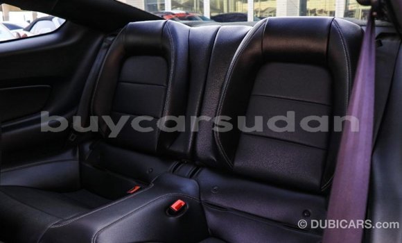 Buy Import Ford Mustang Black Car in Import - Dubai in Al Jazirah State Buy Import Ford Mustang Black Car in Import - Dubai in Al Jazirah State