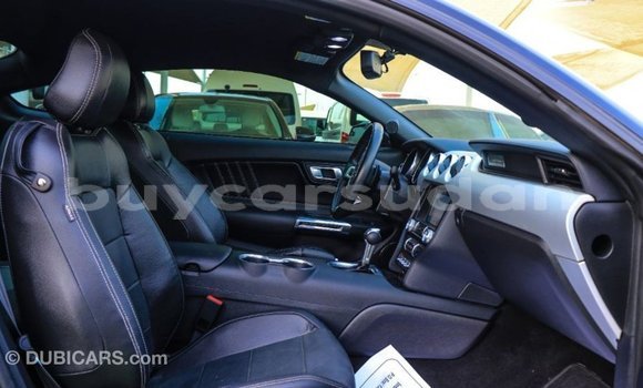 Buy Import Ford Mustang Black Car in Import - Dubai in Al Jazirah State Buy Import Ford Mustang Black Car in Import - Dubai in Al Jazirah State