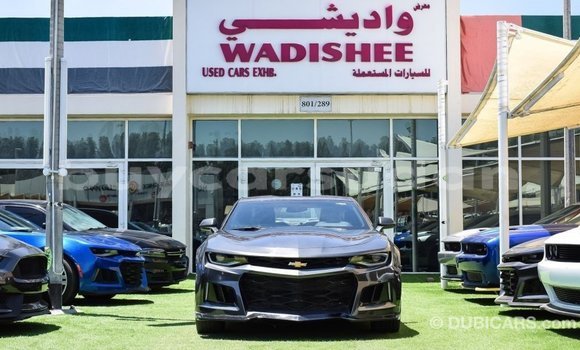 Buy Import Chevrolet Camaro Other Car in Import - Dubai in Al Jazirah State Buy Import Chevrolet Camaro Other Car in Import - Dubai in Al Jazirah State