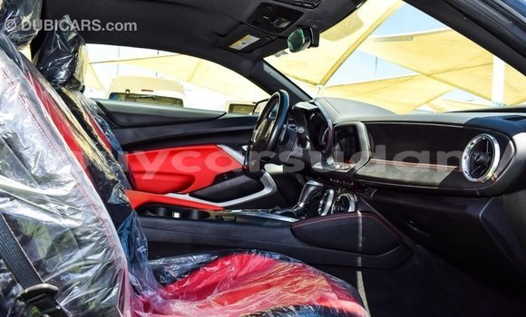 Buy Import Chevrolet Camaro Other Car in Import - Dubai in Al Jazirah State Buy Import Chevrolet Camaro Other Car in Import - Dubai in Al Jazirah State