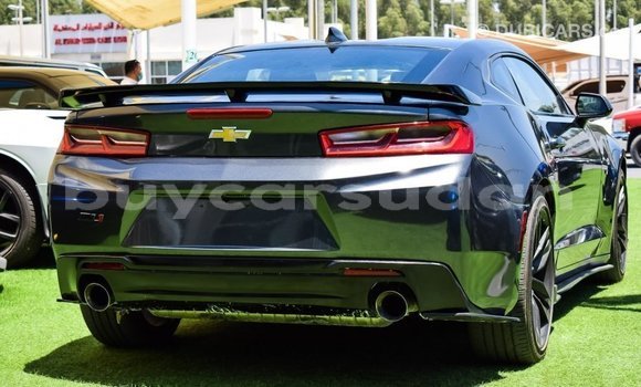 Buy Import Chevrolet Camaro Other Car in Import - Dubai in Al Jazirah State Buy Import Chevrolet Camaro Other Car in Import - Dubai in Al Jazirah State