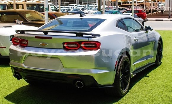 Buy Import Chevrolet Camaro Other Car in Import - Dubai in Al Jazirah State Buy Import Chevrolet Camaro Other Car in Import - Dubai in Al Jazirah State