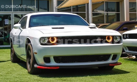Buy Import Dodge Challenger White Car in Import - Dubai in Al Jazirah State Buy Import Dodge Challenger White Car in Import - Dubai in Al Jazirah State
