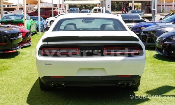 Buy Import Dodge Challenger White Car in Import - Dubai in Al Jazirah State Buy Import Dodge Challenger White Car in Import - Dubai in Al Jazirah State