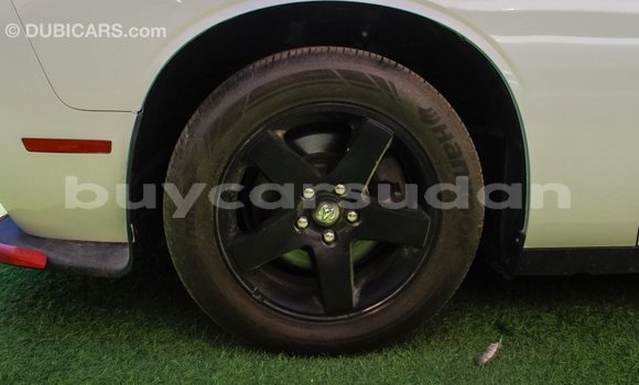 Buy Import Dodge Challenger White Car in Import - Dubai in Al Jazirah State Buy Import Dodge Challenger White Car in Import - Dubai in Al Jazirah State