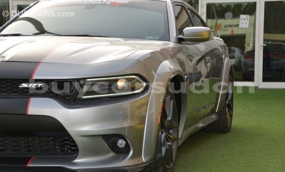 Buy Import Dodge Charger Other Car in Import - Dubai in Al Jazirah State Buy Import Dodge Charger Other Car in Import - Dubai in Al Jazirah State