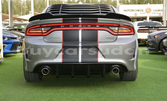 Buy Import Dodge Charger Other Car in Import - Dubai in Al Jazirah State Buy Import Dodge Charger Other Car in Import - Dubai in Al Jazirah State