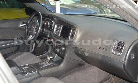 Buy Import Dodge Charger Other Car in Import - Dubai in Al Jazirah State Buy Import Dodge Charger Other Car in Import - Dubai in Al Jazirah State