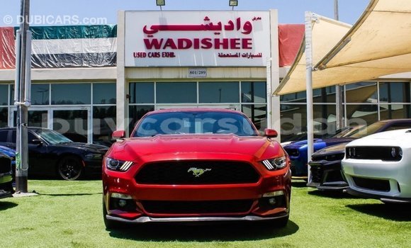 Buy Import Ford Mustang Red Car in Import - Dubai in Al Jazirah State Buy Import Ford Mustang Red Car in Import - Dubai in Al Jazirah State