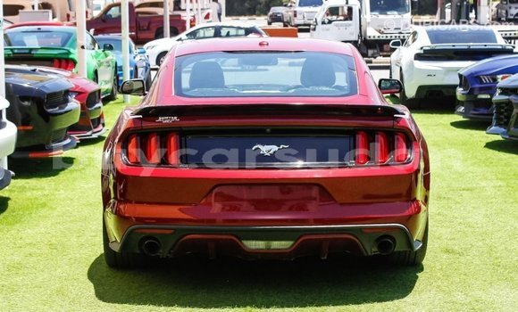 Buy Import Ford Mustang Red Car in Import - Dubai in Al Jazirah State Buy Import Ford Mustang Red Car in Import - Dubai in Al Jazirah State