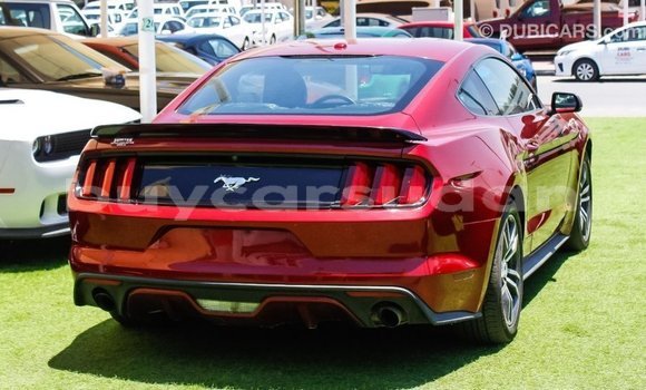 Buy Import Ford Mustang Red Car in Import - Dubai in Al Jazirah State Buy Import Ford Mustang Red Car in Import - Dubai in Al Jazirah State