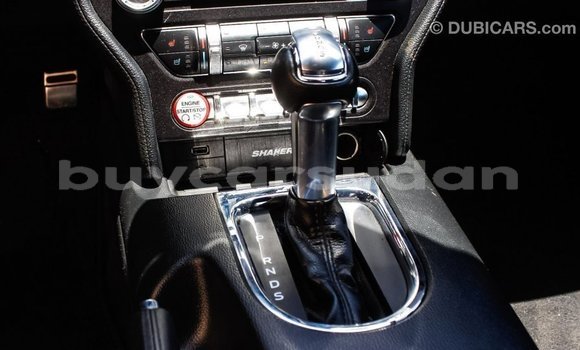 Buy Import Ford Mustang Red Car in Import - Dubai in Al Jazirah State Buy Import Ford Mustang Red Car in Import - Dubai in Al Jazirah State