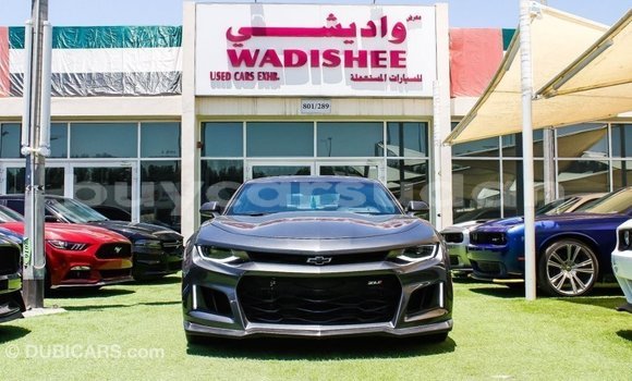 Buy Import Chevrolet Camaro Other Car in Import - Dubai in Al Jazirah State Buy Import Chevrolet Camaro Other Car in Import - Dubai in Al Jazirah State