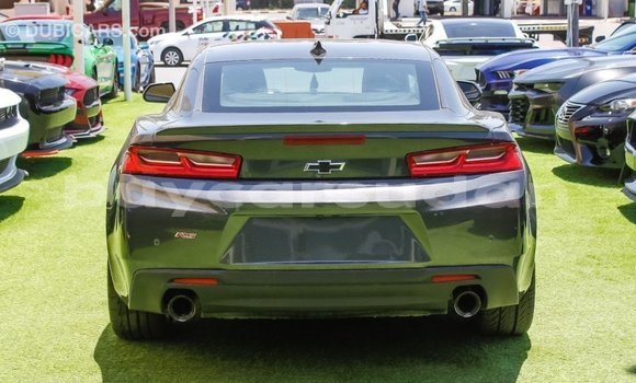 Buy Import Chevrolet Camaro Other Car in Import - Dubai in Al Jazirah State Buy Import Chevrolet Camaro Other Car in Import - Dubai in Al Jazirah State