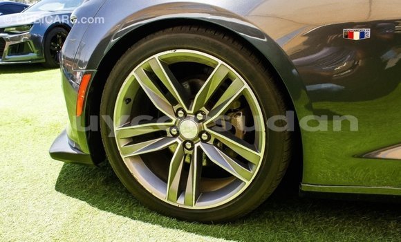 Buy Import Chevrolet Camaro Other Car in Import - Dubai in Al Jazirah State Buy Import Chevrolet Camaro Other Car in Import - Dubai in Al Jazirah State