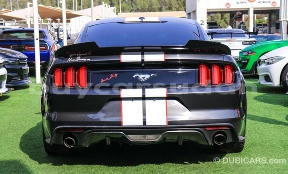 Buy Import Ford Mustang Other Car in Import - Dubai in Al Jazirah State Buy Import Ford Mustang Other Car in Import - Dubai in Al Jazirah State