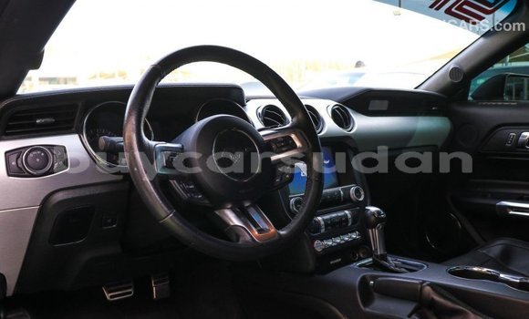 Buy Import Ford Mustang Other Car in Import - Dubai in Al Jazirah State Buy Import Ford Mustang Other Car in Import - Dubai in Al Jazirah State