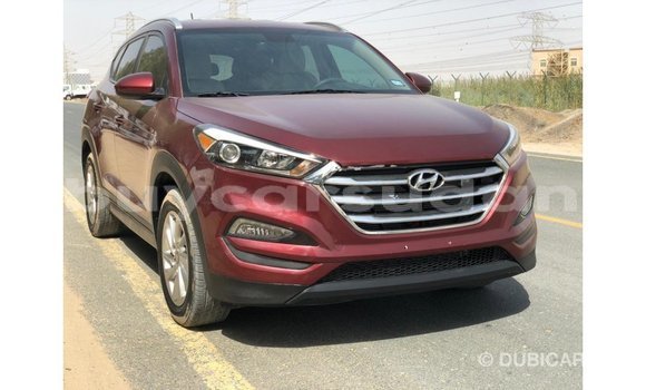 Buy Import Hyundai Tucson Red Car in Import - Dubai in Al Jazirah State Buy Import Hyundai Tucson Red Car in Import - Dubai in Al Jazirah State